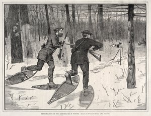  av Winslow Homer