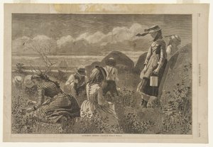  av Winslow Homer