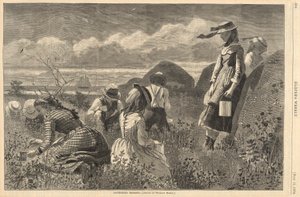 Gathering Berries, fra Harper av Winslow Homer