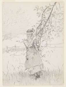 Jente som holder en gren av et epletre av Winslow Homer