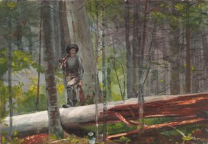  av Winslow Homer