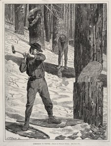  av Winslow Homer