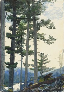 Gamle nybyggere av Winslow Homer