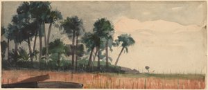 Palmer, røde av Winslow Homer