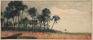 Røde palmer av Winslow Homer