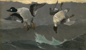 Høyre venstre av Winslow Homer