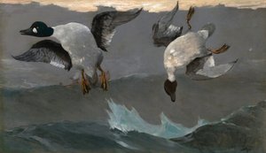  av Winslow Homer