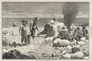  av Winslow Homer