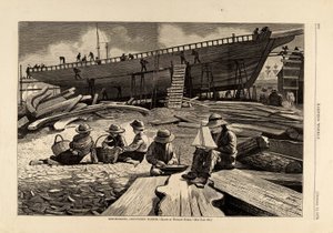  av Winslow Homer