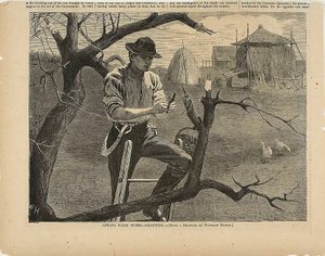  av Winslow Homer