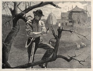  av Winslow Homer