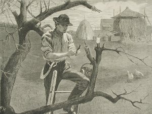  av Winslow Homer