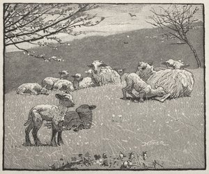  av Winslow Homer