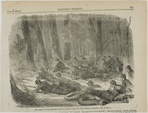  av Winslow Homer