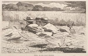  av Winslow Homer