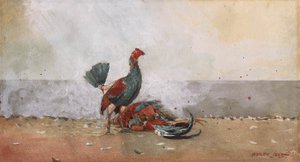 Hanekampen av Winslow Homer