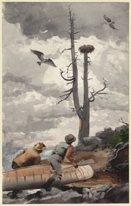  av Winslow Homer