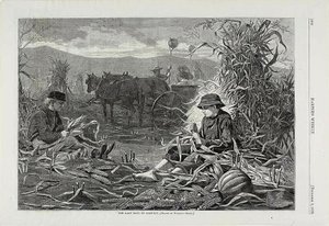  av Winslow Homer