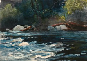 Rapids, Hudsonelven, Adirondacks av Winslow Homer