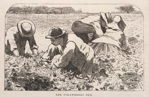  av Winslow Homer