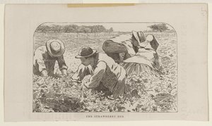 Jordbærbedet av Winslow Homer