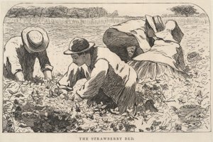 Jordbærbedet, fra Våre unge folk, juli 1868 av Winslow Homer