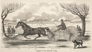  av Winslow Homer