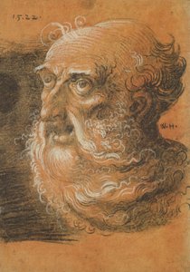 Head Study, 1522 (kull og hvitt kritt på papir)