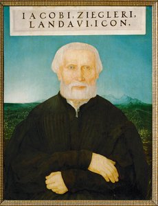 Humanisten Jakob Ziegler (maleri på lind)