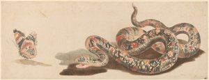Slange og sommerfugl, 1680-1690-tallet.