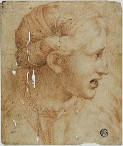  av Workshop of Raphael