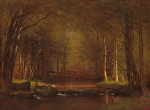 Trout Brook i Catskills