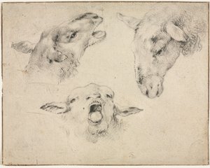 Sauehoder, andre eller tredje kvartal 1800-tallet.