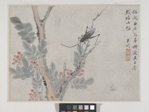Insekt og tre etter Shen Zhou (blekk og farge på papir) av Wu Wang