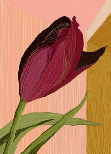 Crimson Tulip-hjørnet