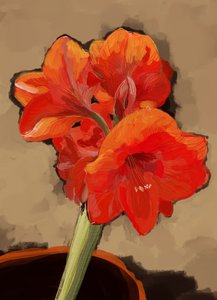 Livlig amaryllisblomst
