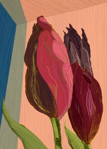 Levende, moderne tulipaner