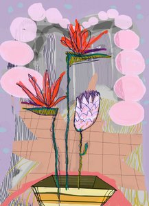 Fargerike tropiske blomster