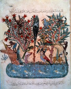 Den mystiske øya befolket med merkelige dyr Miniatyr hentet fra "Maqamat" (Seanser) til Abu Mohammed al-Kasim ibn Ali Hariri (1054-1122) opplyst av Yahya Mahmud al-Wasiti (al Wasiti). ) i 1237, Paris, B.N. av Yahya ibn Mahmud Al Wasiti