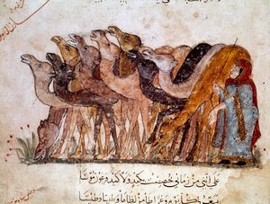 En gruppe kameler og kameler, campingvogn i ørkenen. Side av "" Maqamat"" (Seances), pikaresk dikt fra det 11. århundre av den arabiske poeten Abu Mohammed al-Kasim ibn Ali Hariri (eller Al-Hariri eller Al Hariri) (1054-1122) illustrert av Al-Wasiti (al -W av Yahya ibn Mahmud Al Wasiti