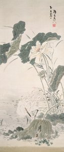 Hegre og lotus, n.d.