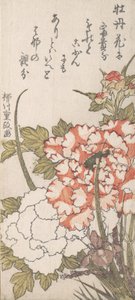 Peonies and Iris, 18th-19th century.    1147076   no       norwegian Successfully Translated  Original: Voyages pittoresques et romantiques dans lancienne France. Franche-Comté: Source du Lison Translat: Voyages pittoresques et romantiques dans l