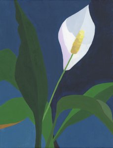  av Yvonne Gustafsson