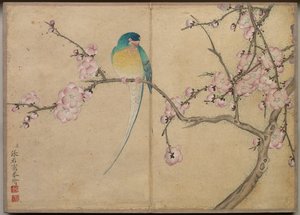 Desk Album: Flower and Bird Paintings Bird with Plomme Blossoms, 1700-tallet.