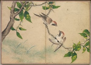 Skrivebordsalbum: Flower and Bird Paintings Gossiping Sparrows, 1700-tallet.