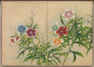 Desk Album: Flower and Bird Paintings Pinks, 1700-tallet.