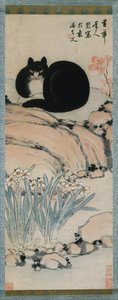 Black Cat og Narcissus, 1800-tallet. av Zhu Ling