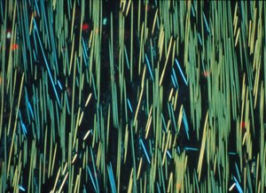 KOMPOSITT, LM PMC karbonfiber i en polymermatrise av Frederick (attr. to) Barnard