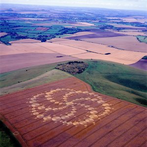 Kornsirkel i hveteåker, Milk Hill, Alton Priors, Vale of Pewsey, Wiltshire