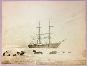 Arktisk ekspedisjon (1875–1876) av kaptein George Nares (1831–1915): H av Frederick (attr. to) Barnard